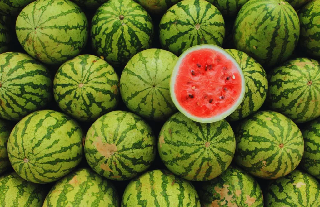 Batch of Watermelons. Keep reading to find out all you need to know about the best things to do for Independence Day in Florida.    