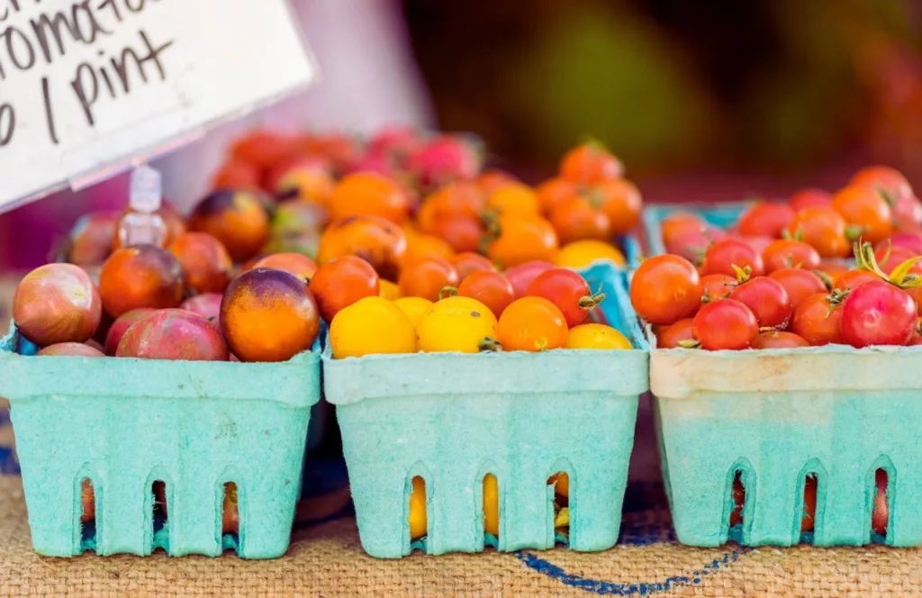 Beaches Green Market in Jarboe Park with a pint of tomatoes. One of the best fun and free things to do in Jacksonville, Florida