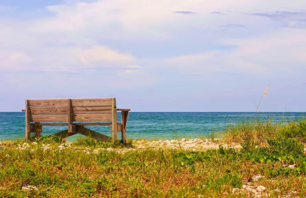 Bench on the beach at Honeymoon Island State Park. Keep reading to find out all you need to know about the best west central Florida beaches. 