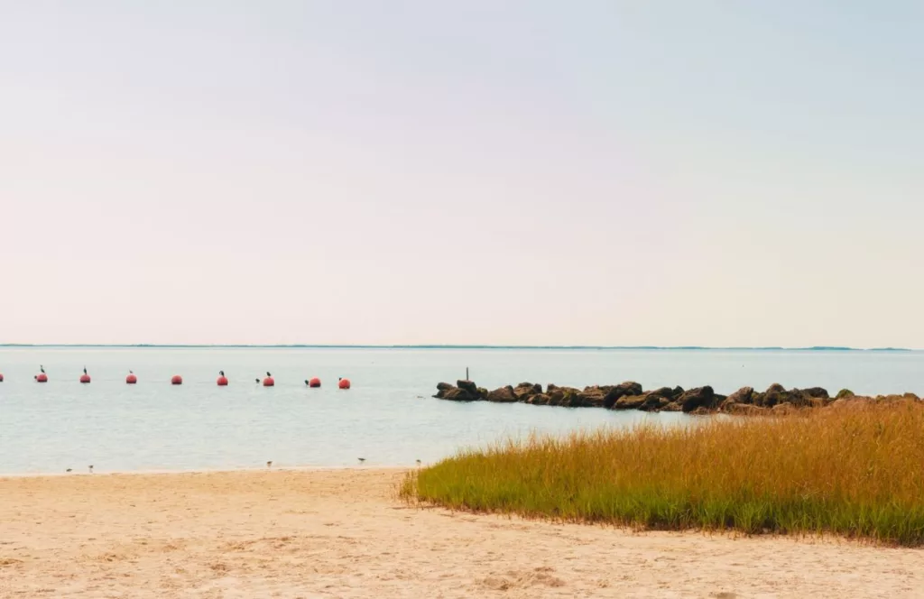 Fort Island Gulf Beach in Crystal River, Florida barriers in the water. Keep reading to get the best west central Florida beaches.