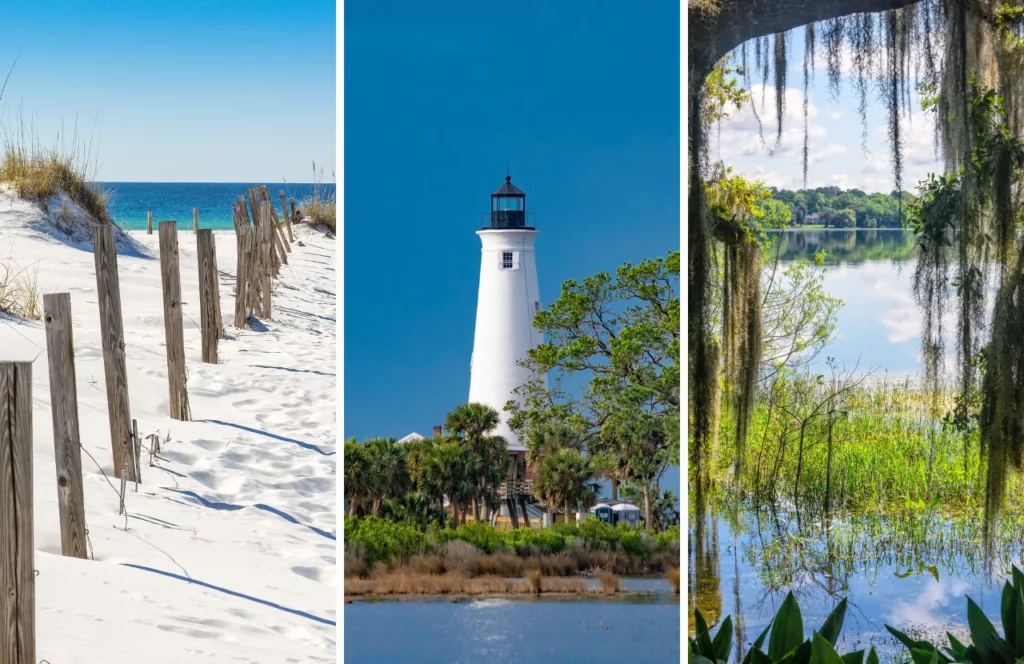 Guide to the Best Things to Do in the Florida Panhandle Today