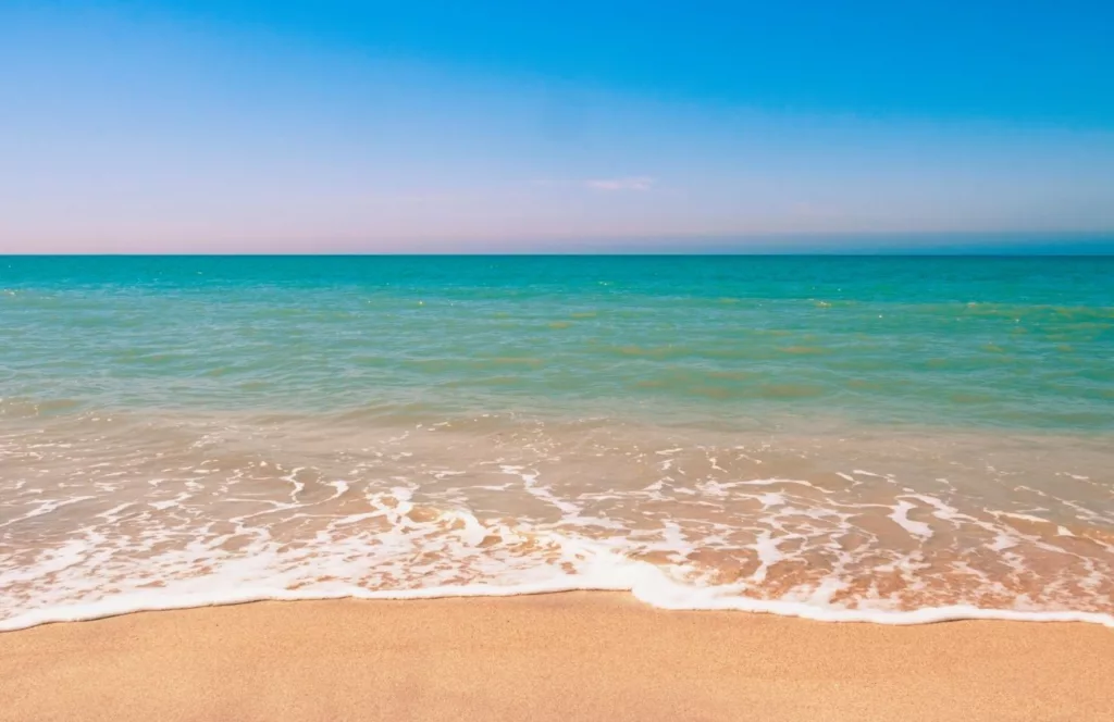 Horseshoe Beach, Florida on the coast of the Gulf of Mexico. One of the Best Beaches Near Gainesville, Florida. Keep reading to find out more about the beaches near Gainesville. 