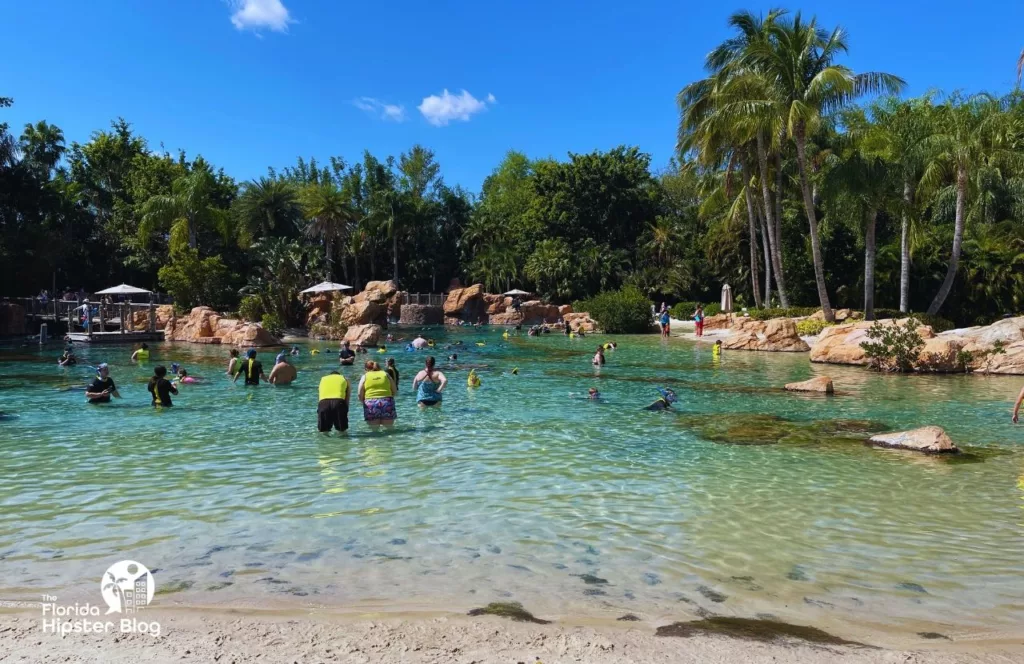 SeaWorld Orlando Discovery Cove on Independence Day. One of the best things to do for 4th of July in Florida. Keep reading to find out all you need to know about the best things to do for Independence Day in Florida.    