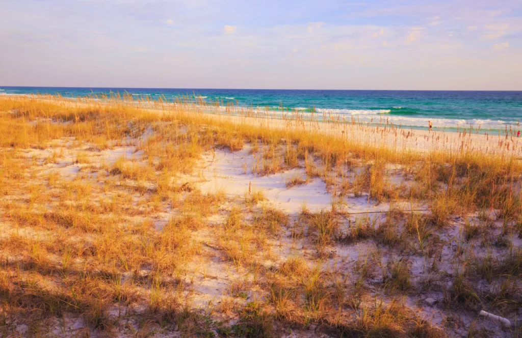 Florida Henderson Beach State Park with beach grass and sand dunes along the sandy shore and bright blue water. Keep reading to discover the free beaches in Destin Florida.