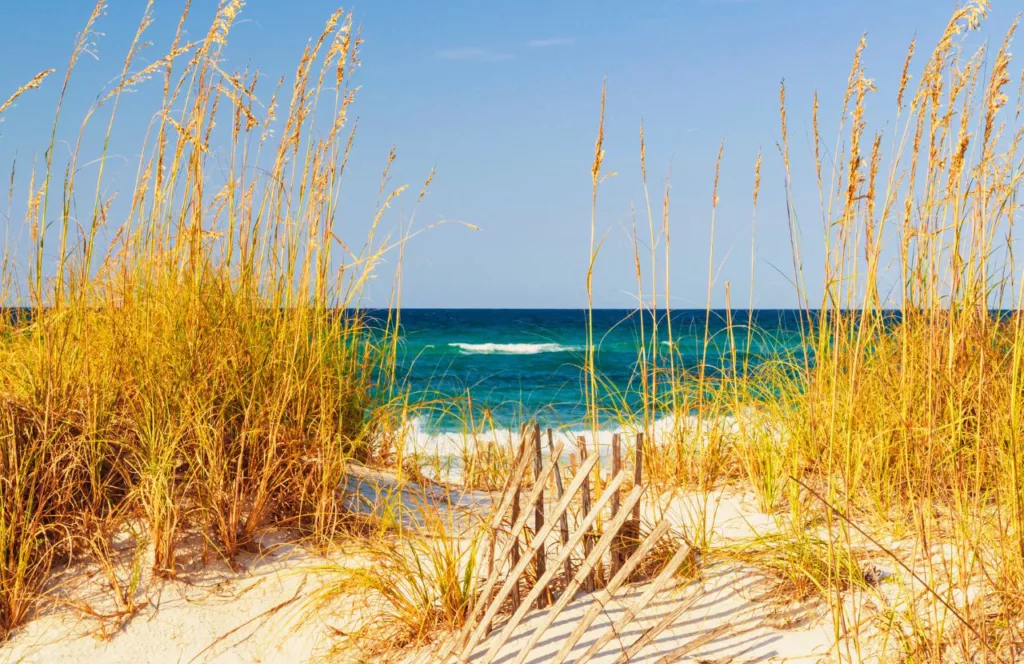 Sand dunes on the white sand beach along the emerald green water in Destin, Florida. Keep reading to discover the free beaches in Destin Florida.