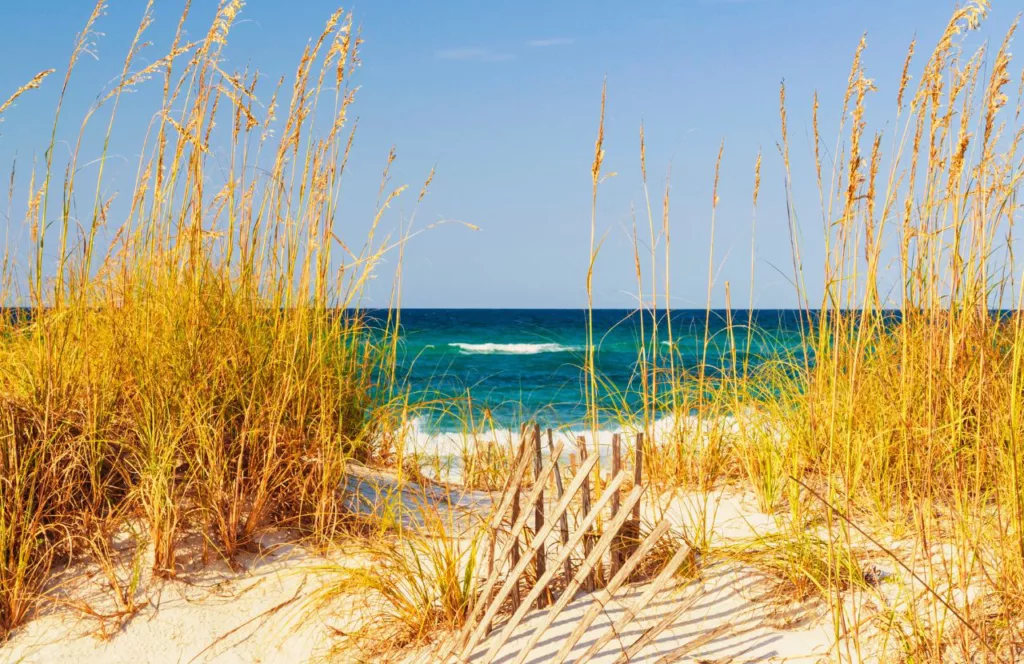 Destin, Florida Topsail Hill Preserve State Park sand dunes. Keep reading to find out where to go for a girl´s trip in Florida. 