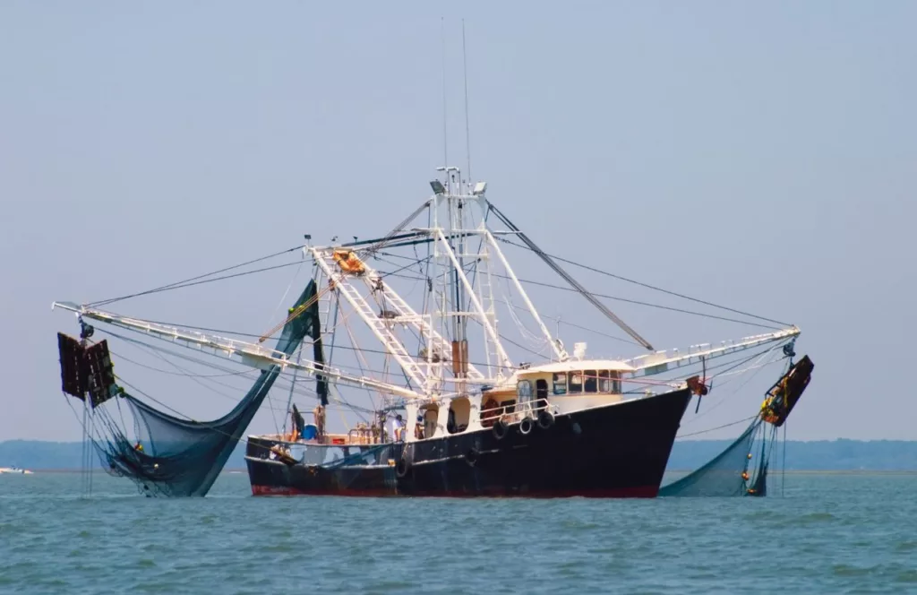 Keep reading to learn about the best Jacksonville Festivals you must visit. Shrimp boat off of the coast of Fernandina Beach for the Isle of Eight Flags Shrimp Festival