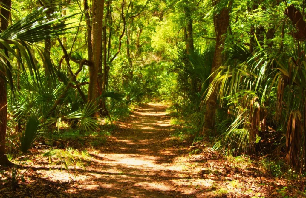 Loftin Wildlife Park at Universal of North Florida Nature Trails. One of the best fun and free things to do in Jacksonville, Florida