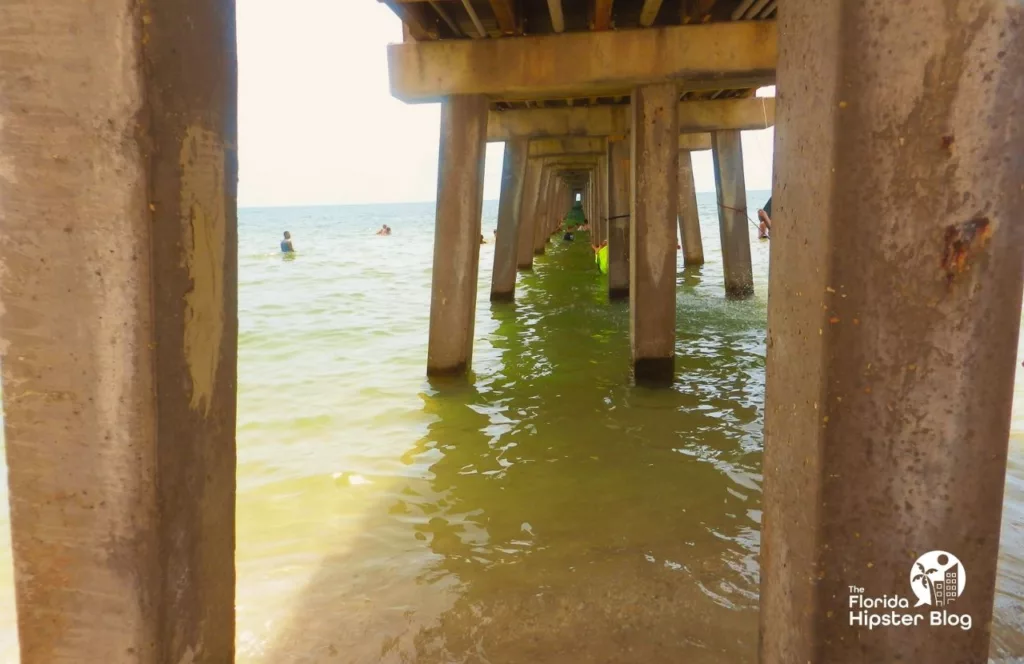 Naples, Florida under the pier at the beach. Keep reading to find out which beaches are the best for a Florida girl´s trip. 