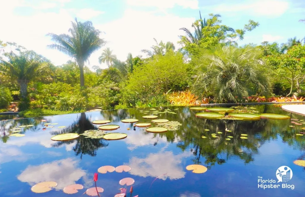 Naples, Florida water area with lily pads at the Naples Botanical Garden. Keep reading to lean which beaches are the best for a Florida girl´s trip. 