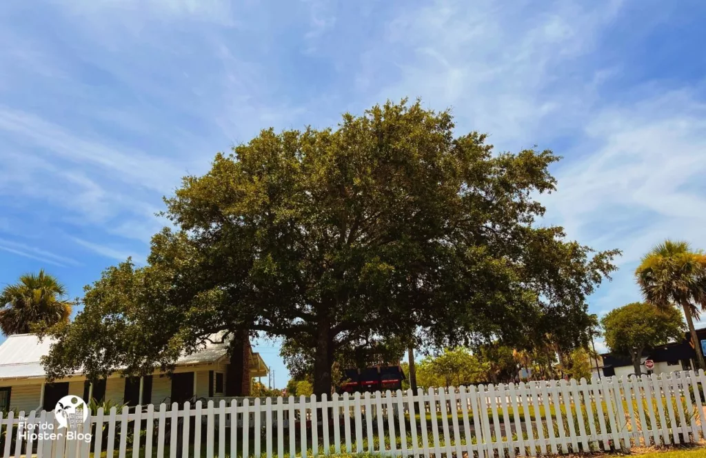 One of the best free things to do in Jacksonville, Florida. Beaches Museum History Center 