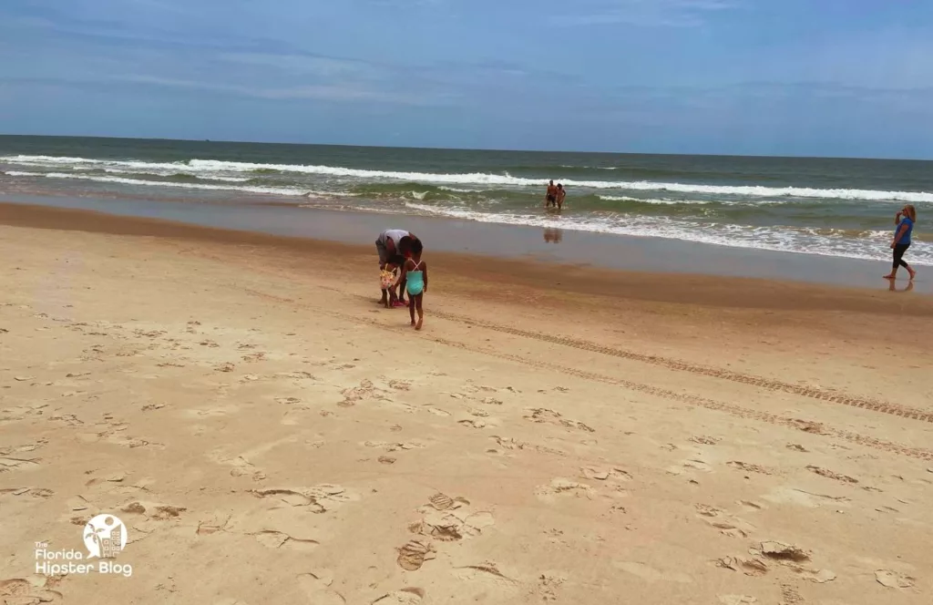 One of the best free things to do in Jacksonville, Florida. Margaritaville Beach Hotel on the beach