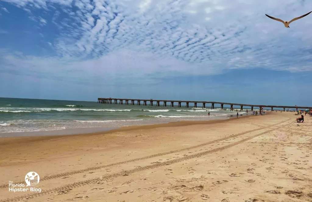 Pier with bird in the air, one of the best things to do at Jacksonville Beach. Keep reading to find out more about Margaritaville Hotel Jax Beach.