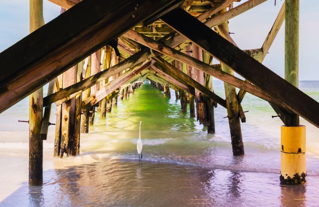 Under the pier with a bird at North Redington Beach. Keep reading to learn more about which west central Florida beaches are the best. 