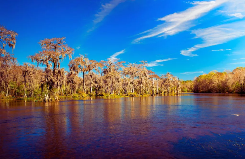 Wakulla Springs, Florida. Keep reading to get the full guide to the best things to do in the Florida Panhandle. 