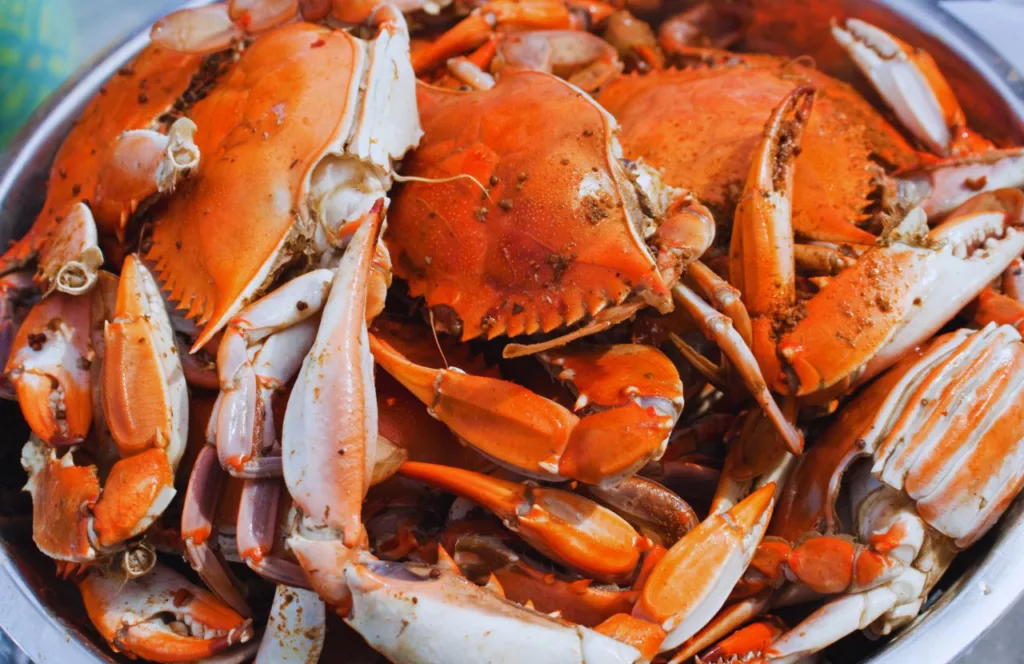 Blue Crabs at Palatka Blue Crab Festival. One of the best things to do for Memorial Day Weekend in Florida