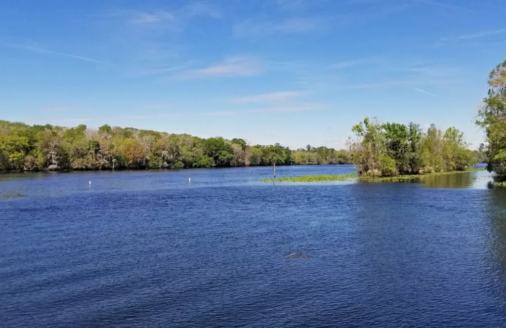 Nature setting with waterways and trees in Chiefland, Florida. Keep reading to discover more Christmas events in Gainesville.