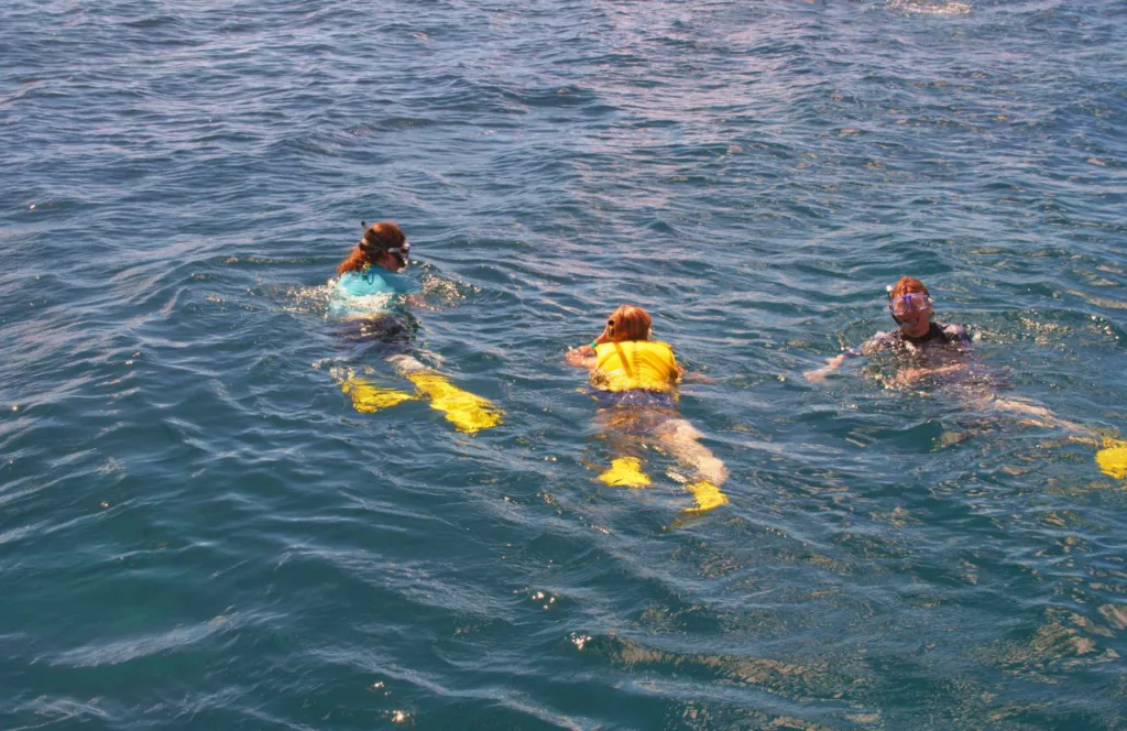 Diving with friends in the ocean. Keep reading to get the Full Guide to Snorkeling in Panama City Beach, Florida.