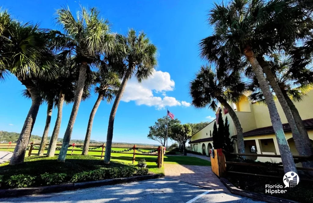 Lakeridge Winery in Clermont, Florida entrance with Christmas garland along the fence post and tall palms lining the entrance. Keep reading to find out more about Florida’s largest winery.