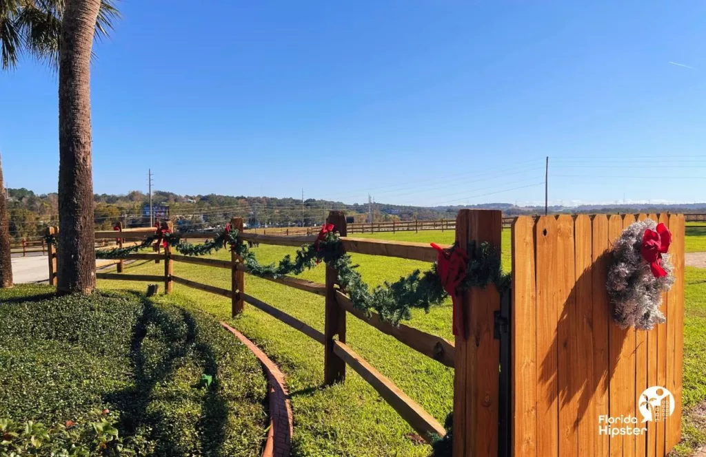 Lakeridge Winery in Clermont, Florida with Christmas garland along the wood fencing of the property. Keep reading to learn more about Lakeridge Winery & Vineyards.