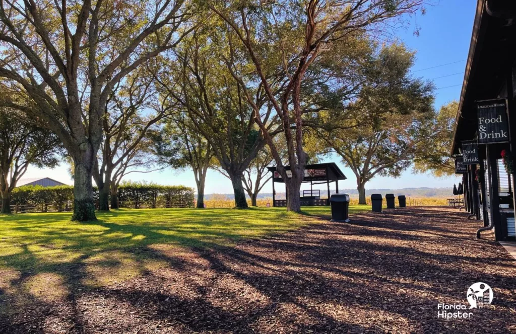 Special Events Area at Lakeridge Winery in Clermont, Florida with open green space and food and drink booths. Keep reading to find out more about the best Winery in Florida, Lakeridge Winery in Clermont, Florida. 