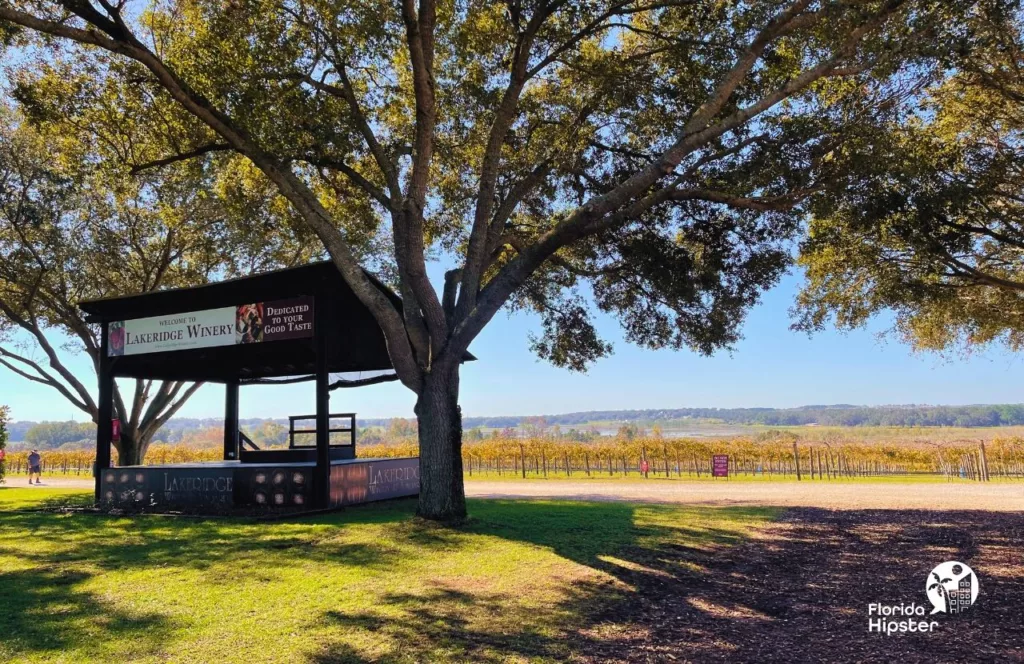 Special Events Area at Lakeridge Winery in Clermont, Florida with views of the rolling hills and vineyards. Keep reading to discover all there is to know Lakeridge Winery.