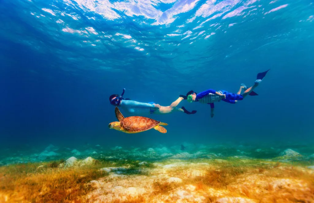 Man and woman diving in Shell Island with turtle. Keep reading to get the Full Guide to Snorkeling in Panama City Beach, Florida.