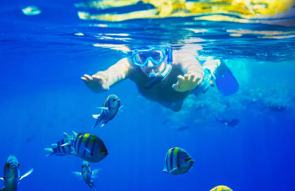 The best months to snorkel in Florida are from April to September with man diving. Keep reading to get the Full Guide to Snorkeling in Panama City Beach, Florida.