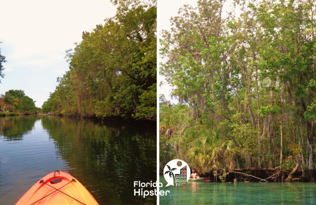 Kayaking to Three Sisters Spring. One of the best Florida beaches in May.
