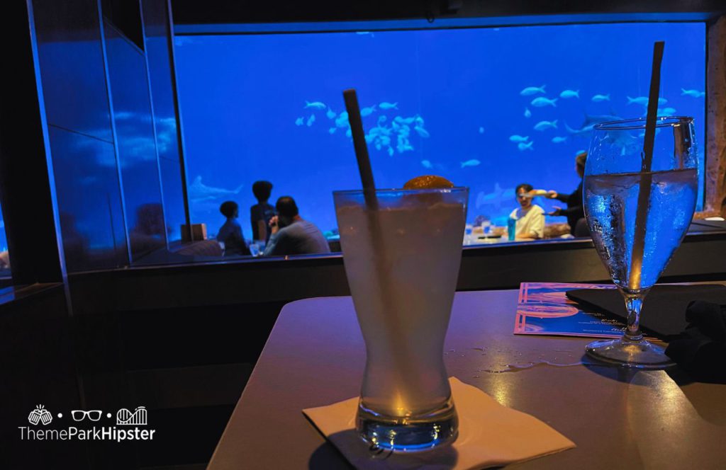 SeaWorld Orlando Theme Park Sharks Underwater Grill Margarita