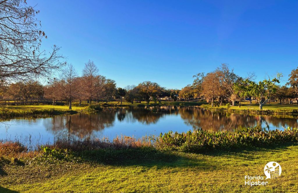 Lake Harris at Venetian Gardens in Leesburg, Florida. Keep reading to learn more about what to do in Leesburg Florida. 