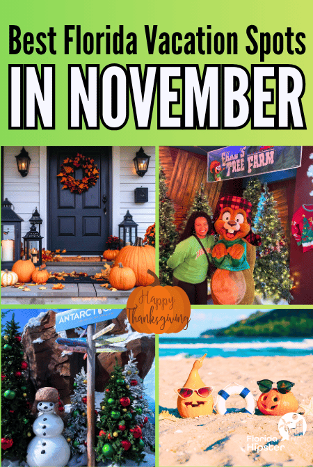 Florida In November Travel Guide