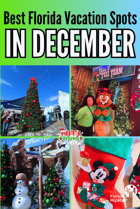 Best Places to Visit in Florida In DECEMBER